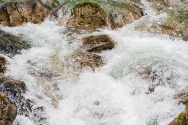 Ormandaki taşların arasından hızlı bir su akıntısı akıyor. Dağlık bir ormanda şelale.