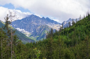 Polonya 'daki Tatra Dağları' nın zirvelerinin manzarası. Dağlı ve bulutlu güzel bir manzara..