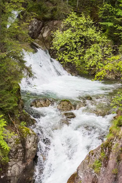 Ormandaki güzel dağ şelalesi. Şelaleli dağ manzarası.