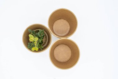 Tek kullanımlık boş karton bardaklar ve beyaz arka planda bir tahta filizi.