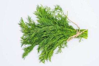 Beyaz arka planda taze yeşil dereotu. Sağlıklı beslenme