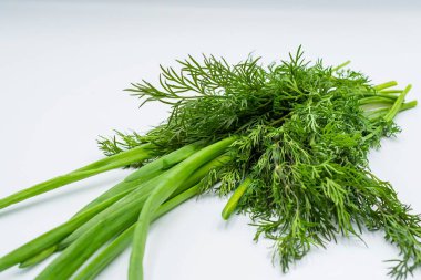 Taze yeşil soğan ve beyaz arka planda dereotu. Sağlıklı yemek.