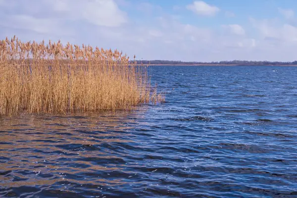 Sıcak kışta kuru sazlarla güzel bir nehir manzarası..