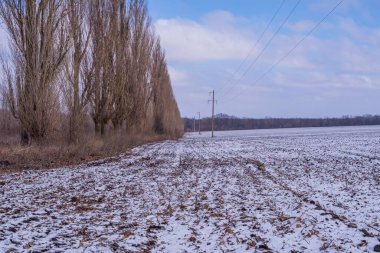 Karlı tarlaları ve bulutlu gökyüzü olan kış manzarası.
