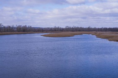 Kışın kurumuş sazlıklar ve ağaçlarla dolu bir nehir.