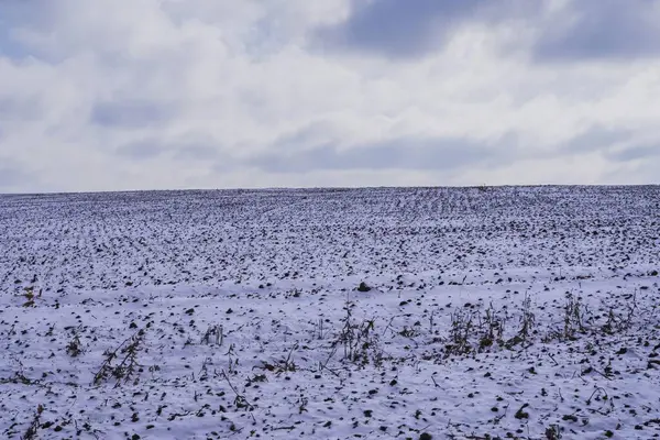 Karlı tarlaları ve bulutlu gökyüzü olan kış manzarası.