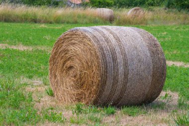 Fransa 'nın güneyinde, Provence bölgesinde kırsal kesimde bir tarlada saman yığınları, kırsal kesimde yaz günü. Tarlada saman yığını