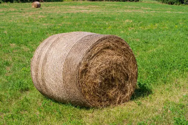 Fransa 'nın güneyinde, Provence bölgesinde kırsal kesimde bir tarlada saman yığınları, kırsal kesimde yaz günü. Tarlada saman yığını