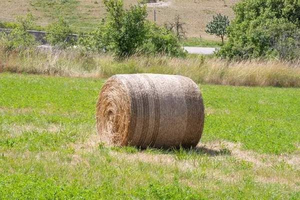 Fransa 'nın güneyinde, Provence bölgesinde kırsal kesimde bir tarlada saman yığınları, kırsal kesimde yaz günü. Tarlada saman yığını