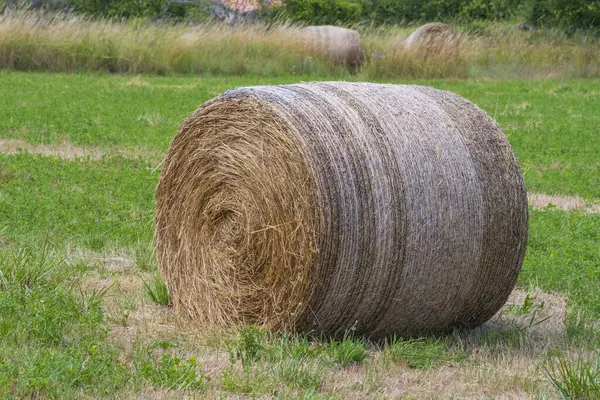 Fransa 'nın güneyinde, Provence bölgesinde kırsal kesimde bir tarlada saman yığınları, kırsal kesimde yaz günü. Tarlada saman yığını