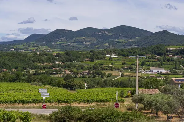 Provence bölgesinin üzüm bağları olan dağ manzarası. Fransa 'nın güneyindeki dağların ve üzüm bağlarının manzarası.