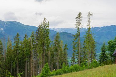 Dağlarda sırt çantalı bir adam.
