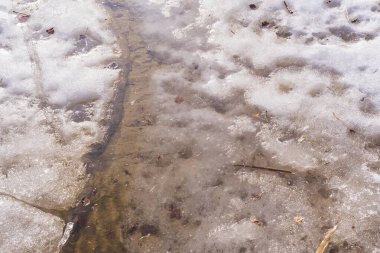 Kuru bitki örtüsüyle nehirde erimiş bahar buzu. İlk eritilmiş parçalar. Baharda buz. Bahar buzu ve çatlaklarının dokusu.