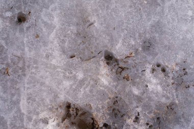 Kuru bitki örtüsüyle nehirde erimiş bahar buzu. İlk eritilmiş parçalar. Baharda buz. Bahar buzu ve çatlaklarının dokusu.