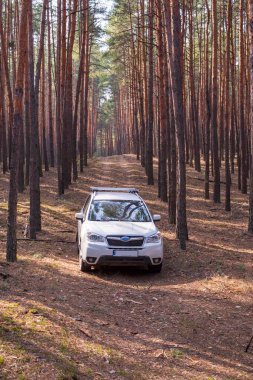 Ormandaki toprak orman yolunda beyaz bir SUV park halinde..