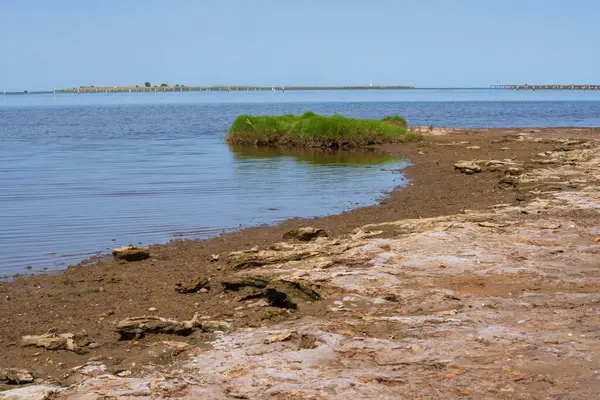 İspanya kıyılarındaki güzel deniz manzarası yemyeşil bataklık otları ve kumlu sahillerle dolu..