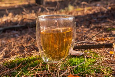 Ormanda bir fincan çay. Orman manzarasının şeffaf fincanda yansıması bitkisel çayla.. 