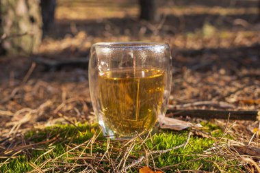 Ormanda bir fincan çay. Orman manzarasının şeffaf fincanda yansıması bitkisel çayla.. 