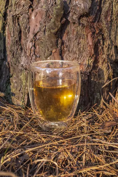 Ormanda bir fincan çay. Orman manzarasının şeffaf fincanda yansıması bitkisel çayla.. 