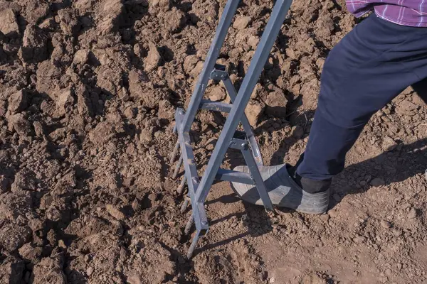 Bahar ekiminden önce bir adam toprağı kazar. Toprağı sebze yetiştirmeye hazırlıyorum.