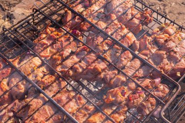 Izgarada ızgarada kızartılmış domuz eti. Ateşin üstünde et.