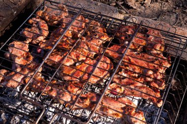 Izgarada ızgarada kızartılmış domuz eti. Ateşin üstünde et.