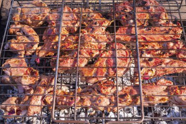 Ev yapımı ızgaranın üstünde ızgara pişirme işlemi. Domuz şiş kebap. Ateşte et pişiriyorum..