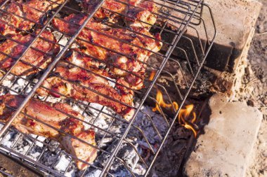 Izgarada ızgarada kızartılmış domuz eti. Ateşin üstünde et.