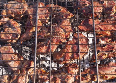 Izgarada ızgarada kızartılmış domuz eti. Ateşin üstünde et.