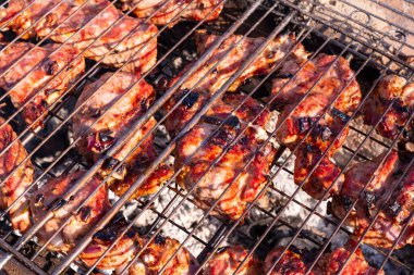 Izgarada ızgarada kızartılmış domuz eti. Ateşin üstünde et.