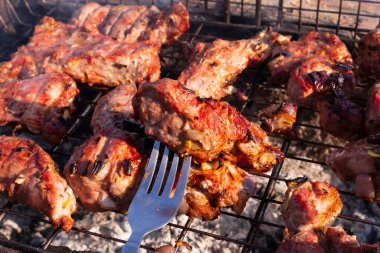 Izgarada pişmiş leziz domuz eti. Barbekü.