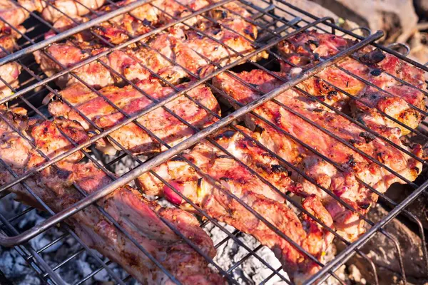 Izgarada ızgarada kızartılmış domuz eti. Ateşin üstünde et.