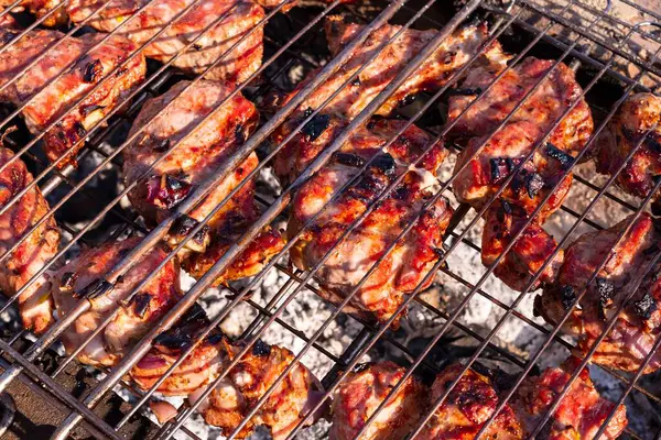 Izgarada ızgarada kızartılmış domuz eti. Ateşin üstünde et.