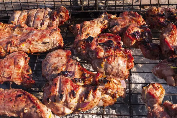 Izgarada ızgarada kızartılmış domuz eti. Ateşin üstünde et.