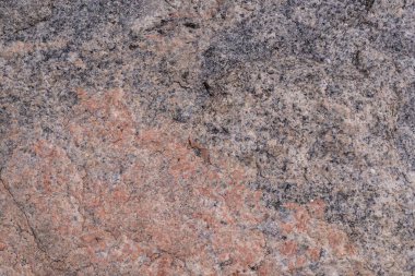 Sergi üzerinde renkli halı örnekleri