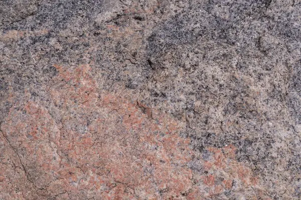 Sergi üzerinde renkli halı örnekleri