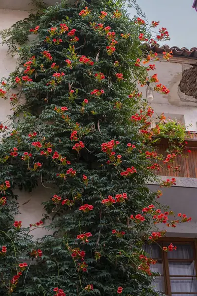 Eski ortaçağ kenti Ohri 'nin mimari ve mimari unsurları. Şehir manzarası.