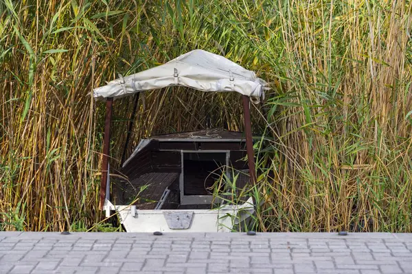 Göl kenarındaki sazlıklarda gizlenmiş bir balıkçı teknesi..