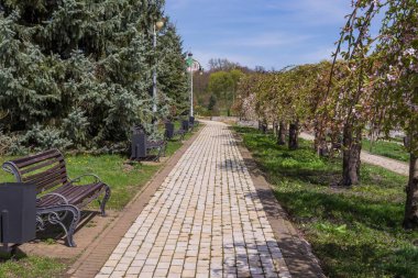 Güzel Feofaniya Parkı 'nda, baharda filizlenen ve açan ağaçların arasında dolambaçlı bir yol..
