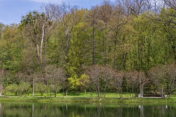 Baharda şehir parkında güzel bir yapay gölet.