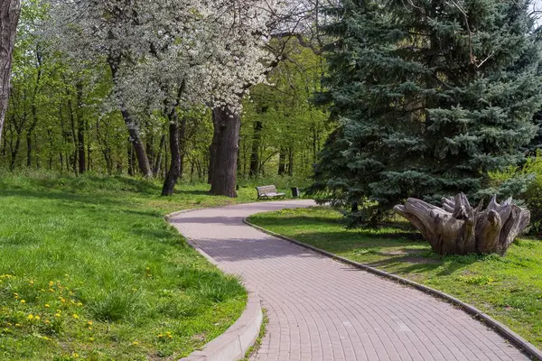Güzel Feofaniya Parkı 'nda, baharda filizlenen ve açan ağaçların arasında dolambaçlı bir yol..