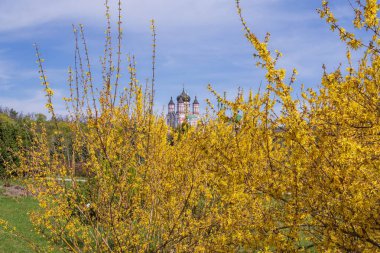 Baharda Feofaniya Park ve Panteleimon Kilisesi Manzarası