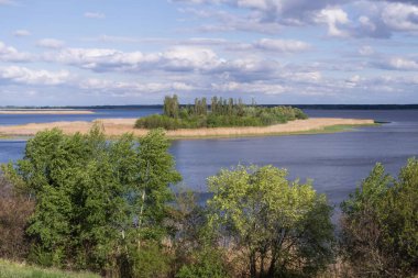 Mavi gökyüzünün altında sazlıklar ve yeşil ağaçlarla sakin bir nehrin manzarası.