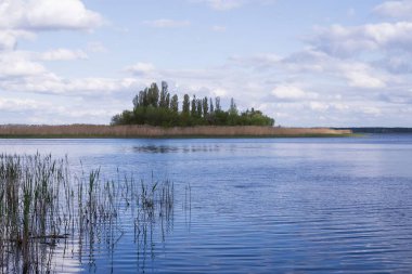 Mavi gökyüzünün altında sazlıklar ve yeşil ağaçlarla sakin bir nehrin manzarası.