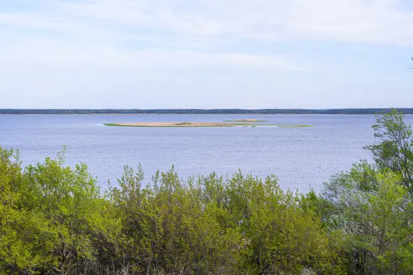 Mavi gökyüzünün altında sazlıklar ve yeşil ağaçlarla sakin bir nehrin manzarası.
