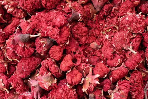 Kurutulmuş kırmızı nar çiçekleri. Tasarım ve reklam için doğal arkaplan.