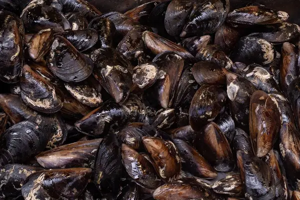 İstanbul sokak yemekleri. Türk pazarında limonlu taze kızarmış midye.