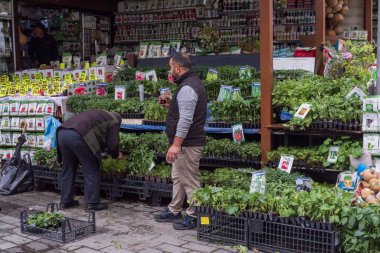 İstanbul pazarında fideleri satma süreci. İstanbul, 18 Mayıs 2025