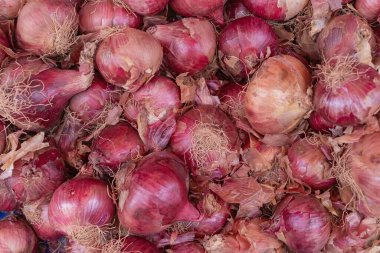 Taze soğan başlarının doğal ışık altında yakın çekimi - organik sebze arka planı.