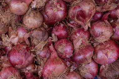 Taze soğan başlarının doğal ışık altında yakın çekimi - organik sebze arka planı.
